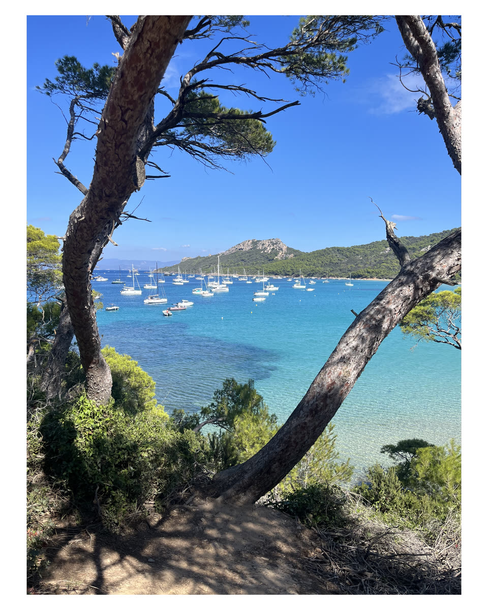 White-bordered iPhone photo of a turquoise bay with boats, framed by shaded pine trees